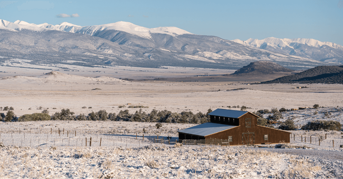 Featured Image for The Benefits of Taking Your Farm to Auction